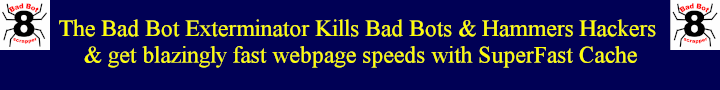 kill bad bots